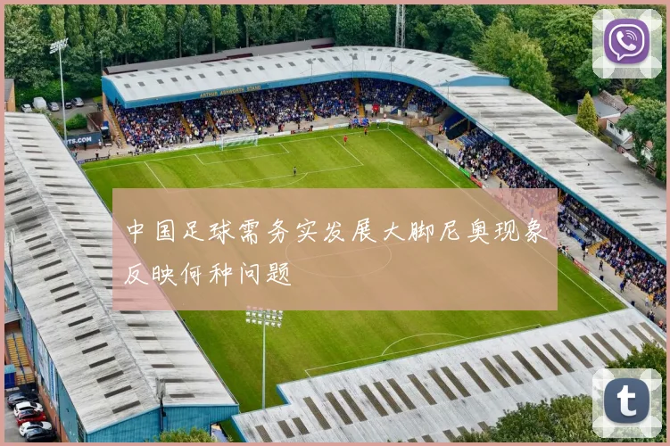 中国足球需务实发展大脚尼奥现象反映何种问题