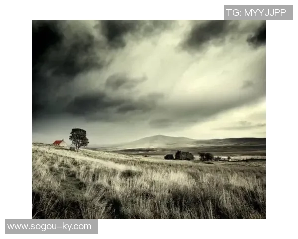 卡里乌斯感慨世界杯之旅是人生加分项感谢给予机会的人们